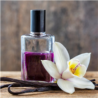 Vanilla Lace* Fragrance Oil 17013